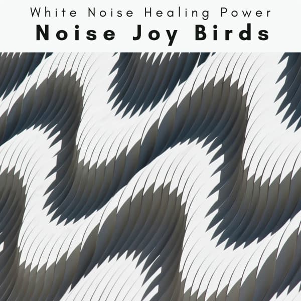 3 2 1 Noise Joy Birds - White Noise Healing Power