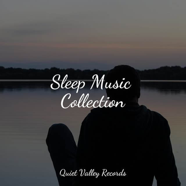 Sleep Music Collection - Water Spa