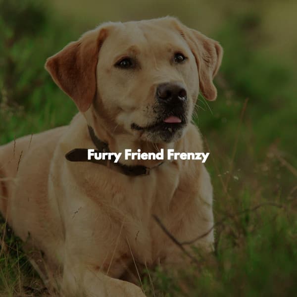 Furry Friend Frenzy - Jazz Lounge Cafe