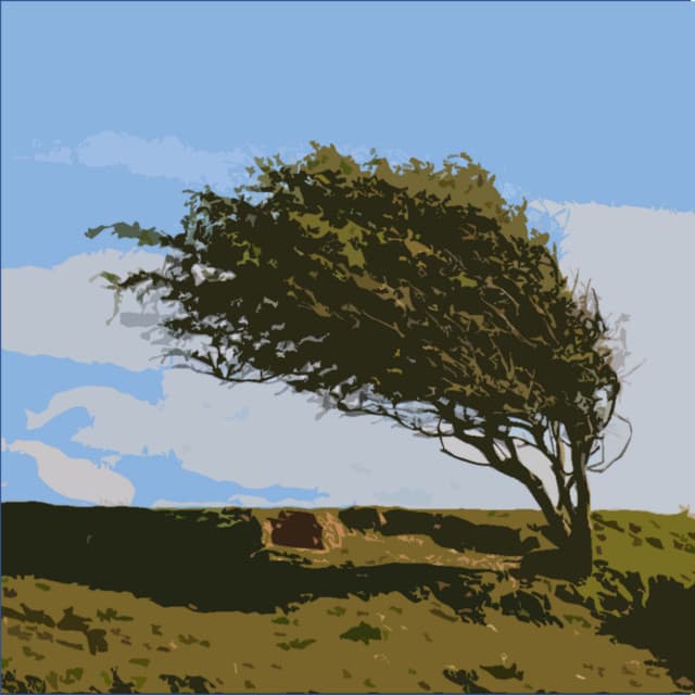 The Wind and the Rain - Outside Recordingsfor Rest