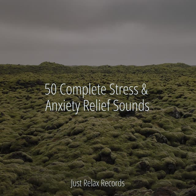50 Complete Stress & Anxiety Relief Sounds - Study Music & Sounds