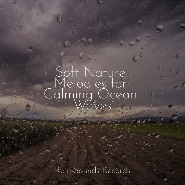 Soft Nature Melodies for Calming Ocean Waves - Ocean Sounds