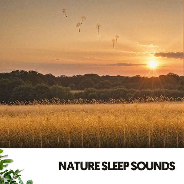 Sonidos de la Naturaleza: Vibraciones de la Madre Tierra - Dog Relaxation