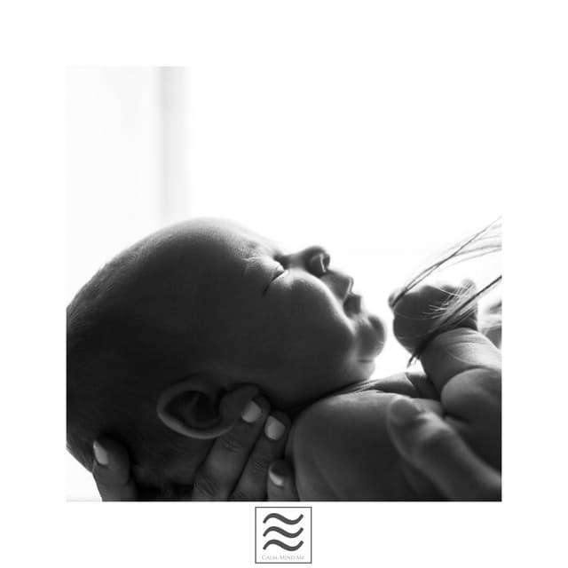 Oasis of Relax - Fans & White Noise