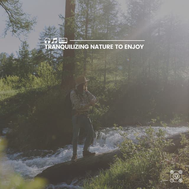 Tranquilizing Nature to Enjoy - Organic Nature Sounds