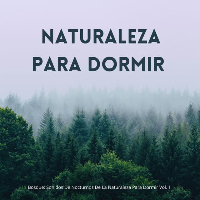 Bosque: Sonidos De Nocturnos De La Naturaleza Para Dormir Vol. 1 - Musica del bosque