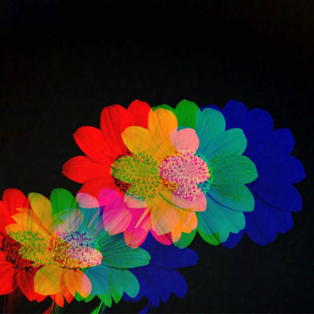 Feelings for Cinematic Tracks - Fine Dining Music