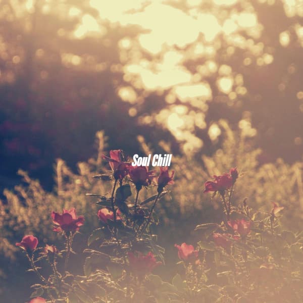 Soul Chill - Soft Jazz Songs
