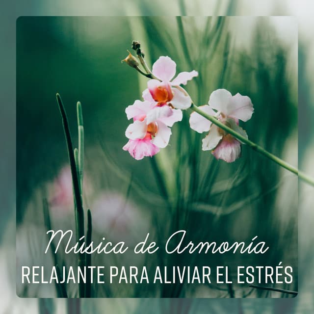 Música de Armonía Relajante para Aliviar el Estrés - Meditación curativa, Comodidad, Yoga, Dormir - Música Zen Relajante Conjunto