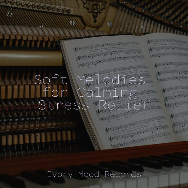 Soft Melodies for Calming Stress Relief - Ivory Mood