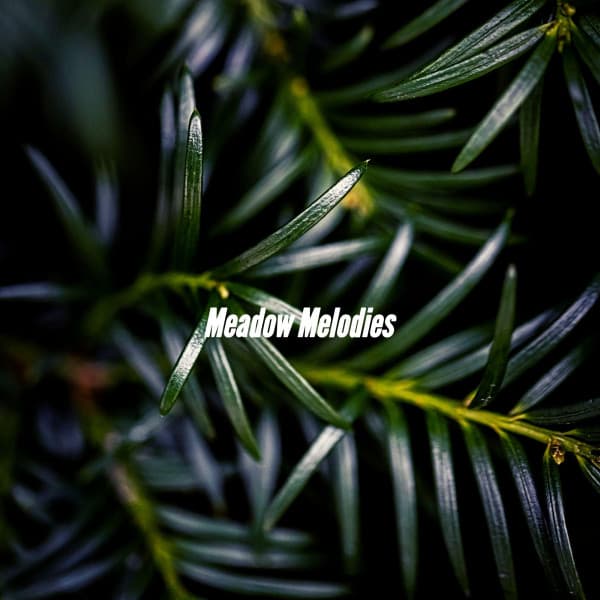 Meadow Melodies - Super Jazz Cafe Music