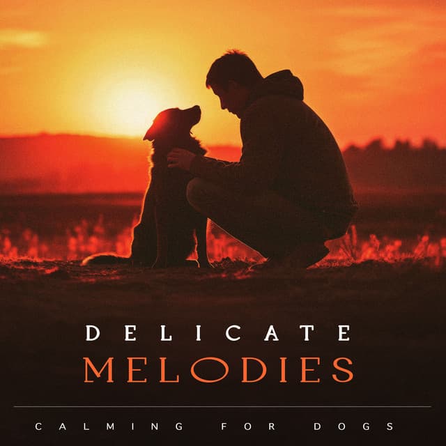 Delicate Melodies - Calming for Dogs