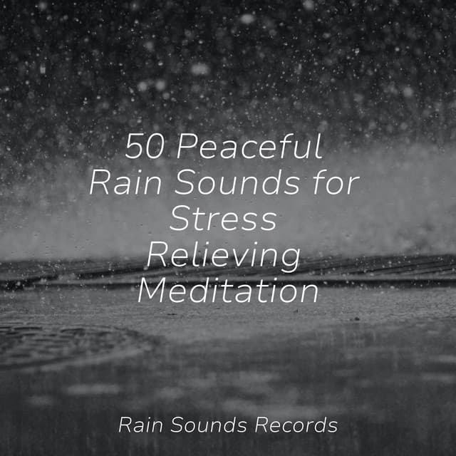 50 Peaceful Rain Sounds for Stress Relieving Meditation - Meditation Relaxation Club