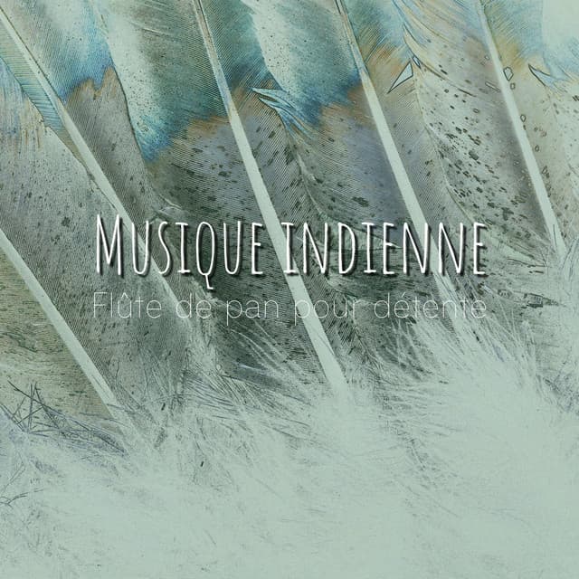 Musique indienne - Flûte de pan pour détente - American Native