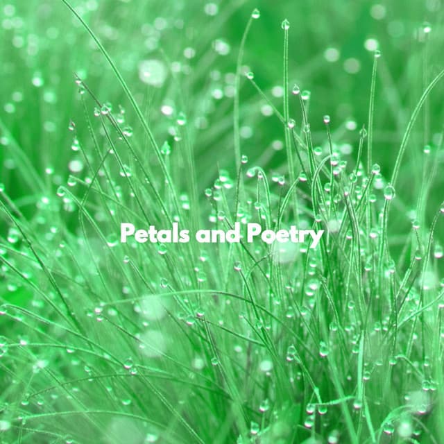 Petals and Poetry - Jazz Instrumental Chill