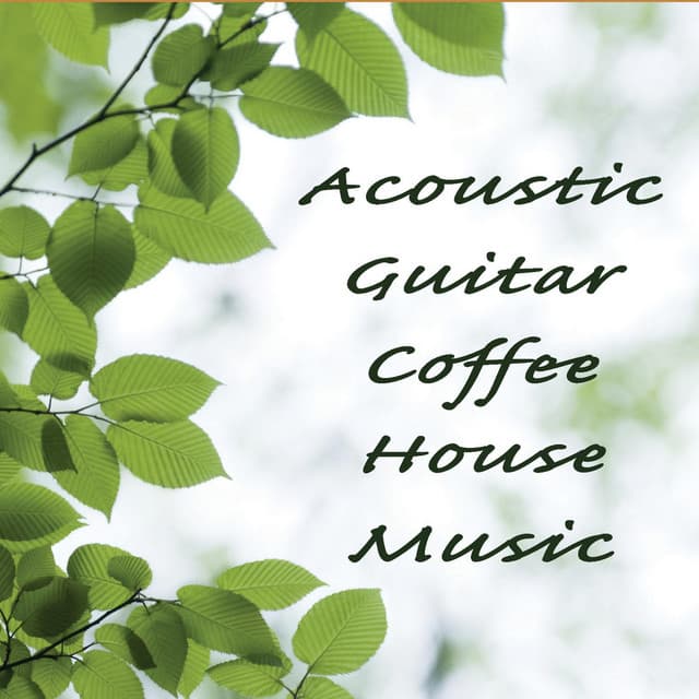 Acoustic Guitar Tribute Players