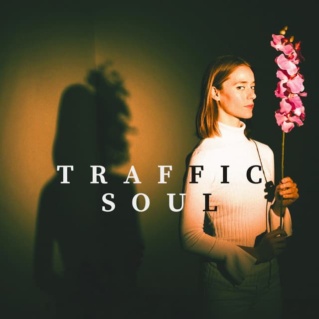Traffic Soul: Her Quiet Reverie - Nightfall Storytellers