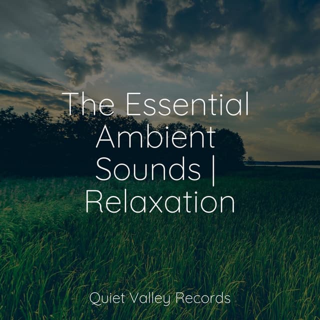The Essential Ambient Sounds | Relaxation - Sleep Lullabies for Newborn