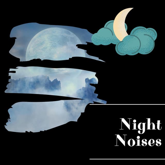 Night Noises for Deep Focus and Study - Night Sounds Channel