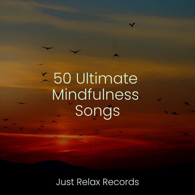 50 Ultimate Mindfulness Songs - Nursery Rhymes Club