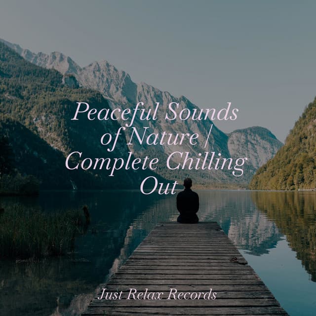 Peaceful Sounds of Nature | Complete Chilling Out - Nature Sound Collection