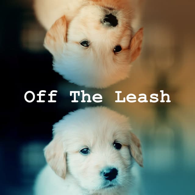 Off The Leash - Hundemusik