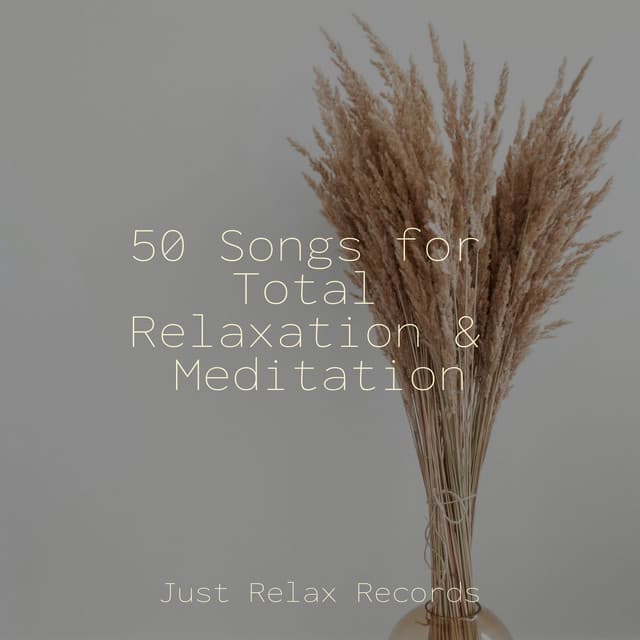 50 Songs for Total Relaxation & Meditation - Lullaby Land