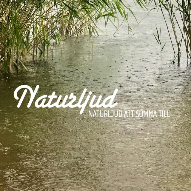 Naturljud att somna till - Naturljud