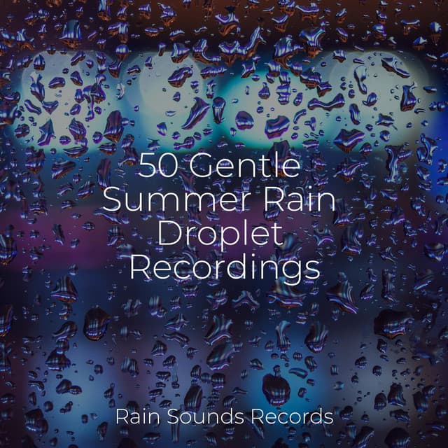 50 Gentle Summer Rain Droplet Recordings - Pro Sound Effects Library