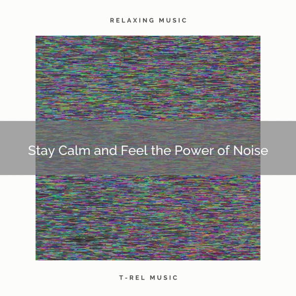 Stay Calm and Feel the Power of Noise - Relaxing Sounds ASMR
