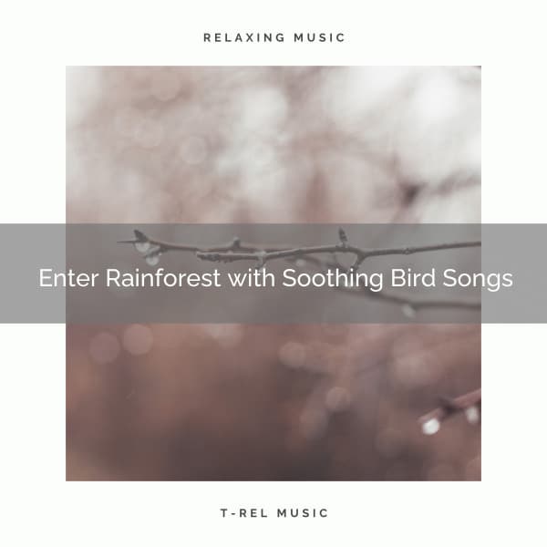 ! ! ! ! ! ! ! Enter Rainforest with Soothing Bird Songs - Rain Sounds For Sleep