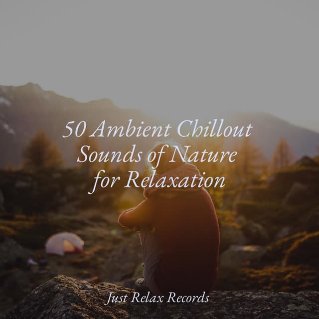 50 Ambient Chillout Sounds of Nature for Relaxation - Smart Baby Lullaby