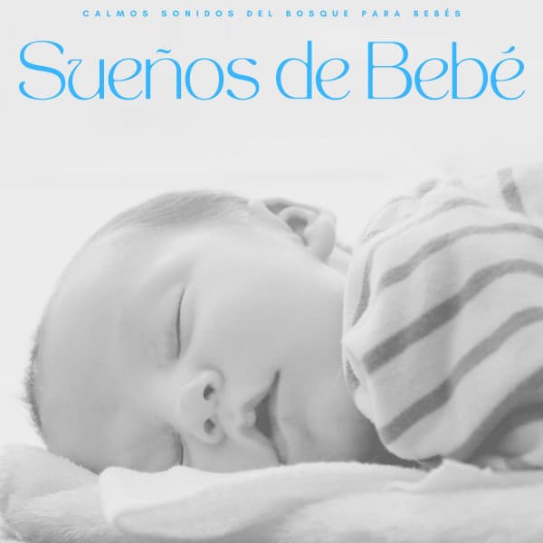 Sueños De Bebé: Calmos Sonidos Del Bosque Para Bebés - Ruido De Colores