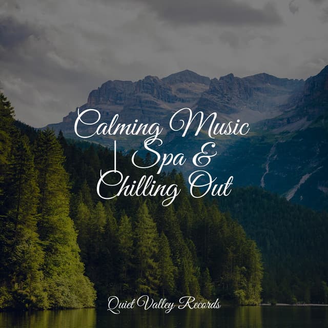 Calming Music | Spa & Chilling Out - Tailormade Ocean Waves