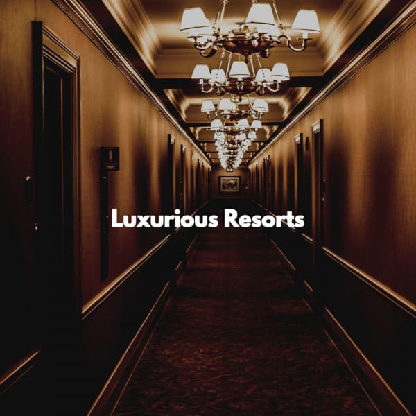 Luxurious Resorts - Restaurant Background Playlist