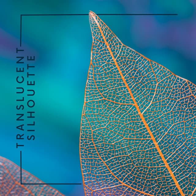 Translucent Silhouette - Isabel Sallow