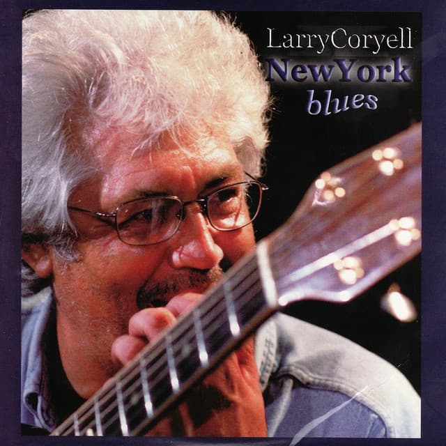 New York Blues - Larry Coryell