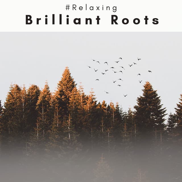 4 Ever Brilliant Roots - #Relaxing
