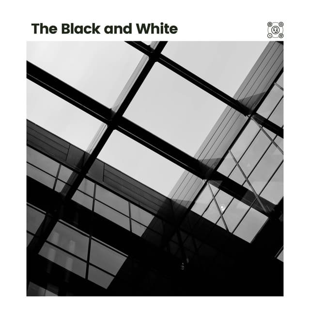 The Black and White - Christopher Williams