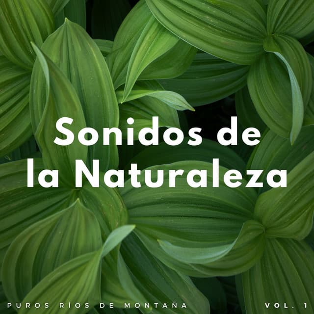 Sonidos De La Naturaleza: Puros Ríos De Montaña Vol. 1 - Ruido y Naturaleza