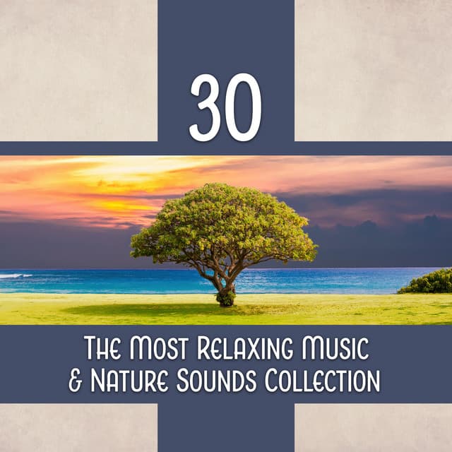 30 The Most Relaxing Music & Nature Sounds Collection – Listen and Relax Deeply, New Age Calming Tracks - Relaxing Music Pro Effects Unlimited