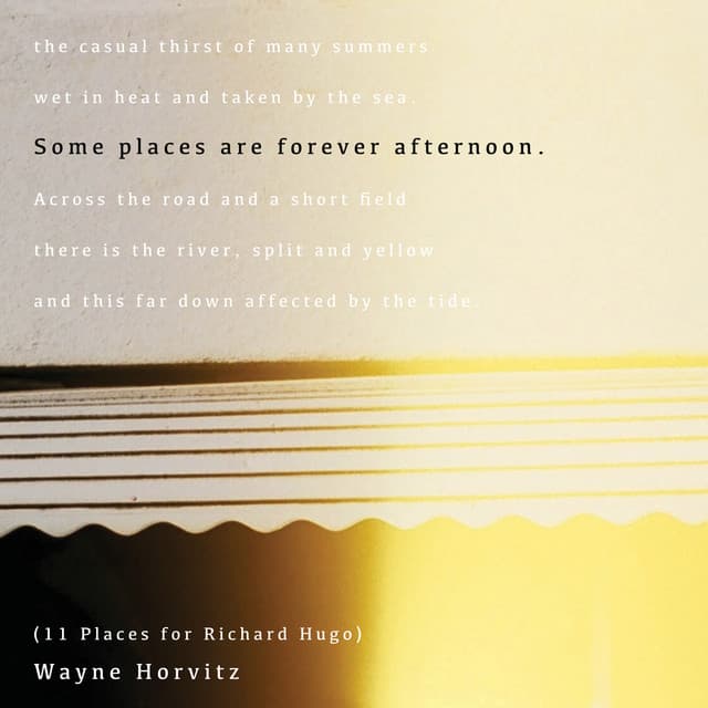 Some Places Are Forever Afternoon - Wayne Horvitz