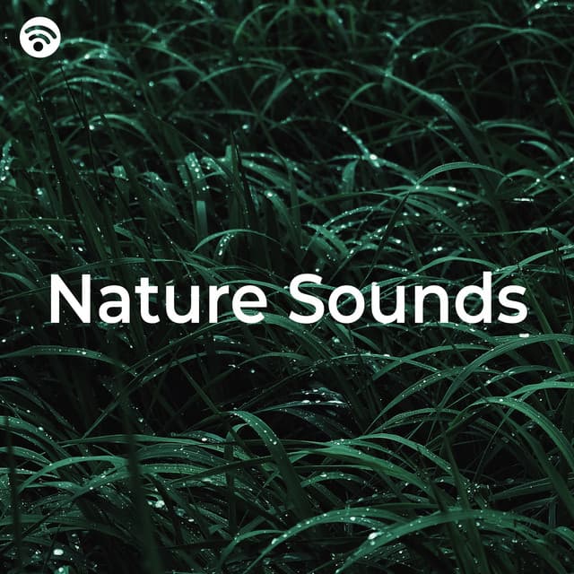 Nature Sounds - Musica Para Dormir y Sonidos de la Naturaleza