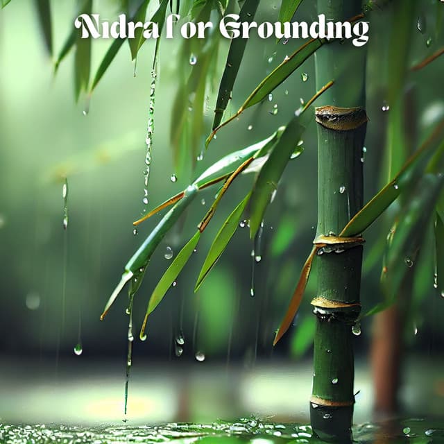 Nidra for Grounding: Yoga Nidra for Better Sleep & Relaxation - Kundalini Yoga Group