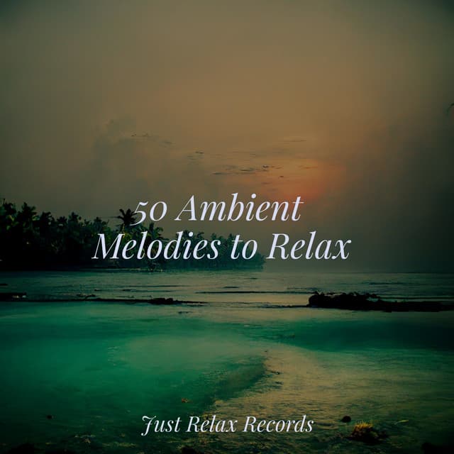50 Ambient Melodies to Relax - Dormir