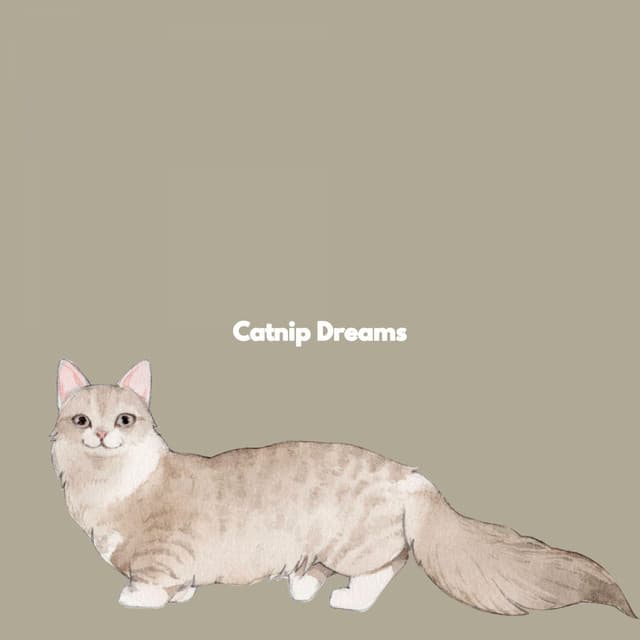 Catnip Dreams - Dinner Party Music