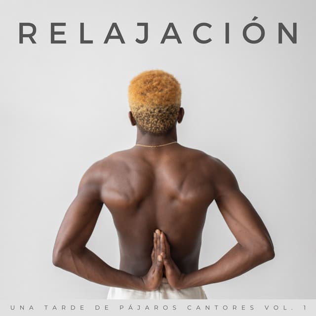 Relajación: Una Tarde De Pájaros Cantores Vol. 1 - Suave al aire libre