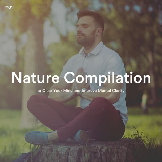 #01 Nature Compilation to Clear Your Mind and Improve Mental Clarity - Healing Guru