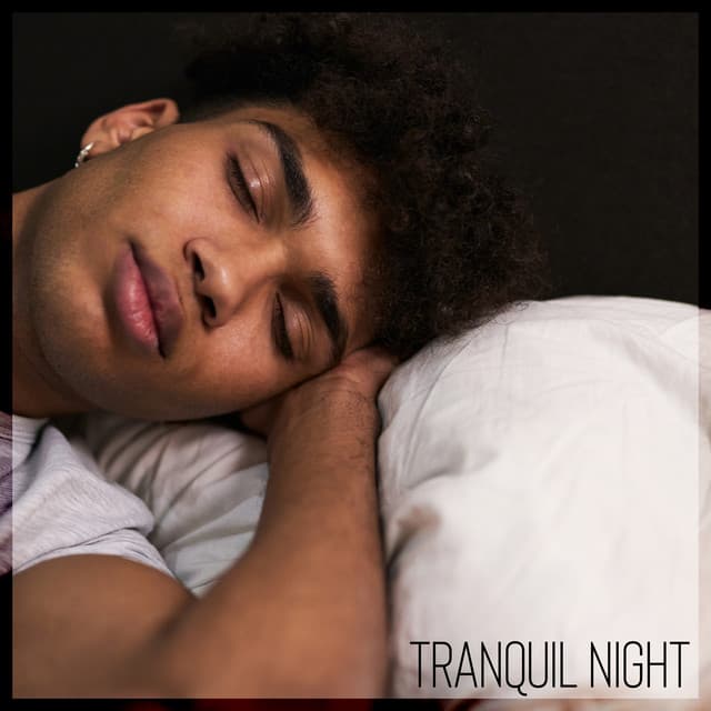 Tranquil Night – Music for Sleeping, Calmness, Time to Catch Breath - Sleep Cycles Music Collective