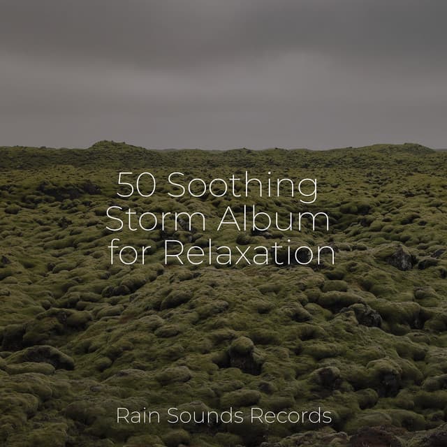 50 Soothing Storm Album for Relaxation - Spa & Spa